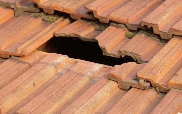 roof repair Harrowgate Village, County Durham